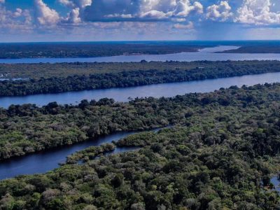 Passeios Turísticos em Novo Airão